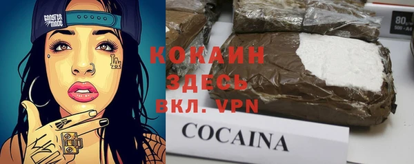 мяу мяу мука Аркадак