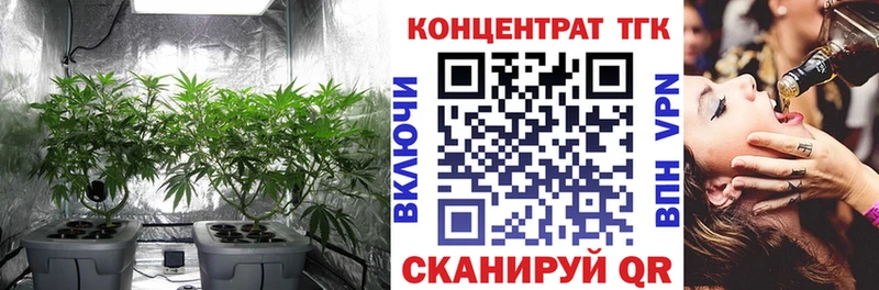 ТГК жижа  Почеп 