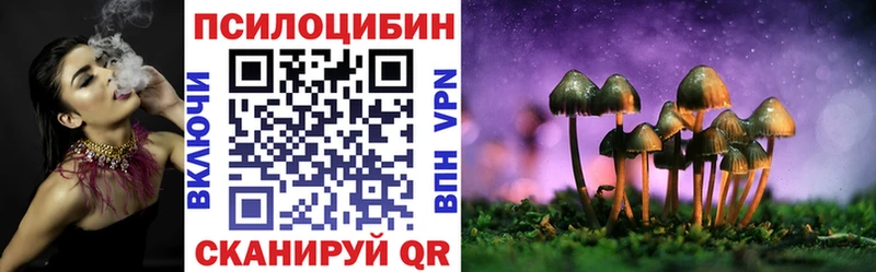 Псилоцибиновые грибы Psilocybine cubensis  кракен ССЫЛКА  Почеп 